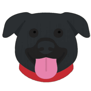 Dog 5