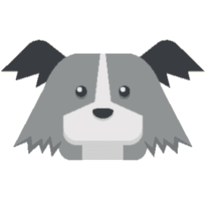 Dog 8